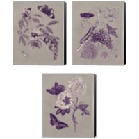 Framed Nature Study in Plum & Taupe 3 Piece Canvas Print Set