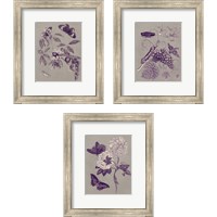 Framed 'Nature Study in Plum & Taupe 3 Piece Framed Art Print Set' border=