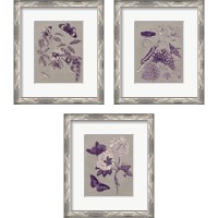 Framed Nature Study in Plum & Taupe 3 Piece Framed Art Print Set