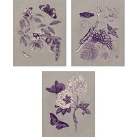 Framed Nature Study in Plum & Taupe 3 Piece Art Print Set