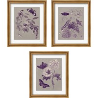 Framed 'Nature Study in Plum & Taupe 3 Piece Framed Art Print Set' border=