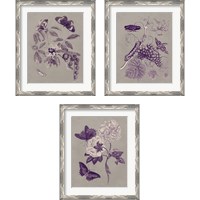 Framed 'Nature Study in Plum & Taupe 3 Piece Framed Art Print Set' border=