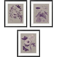 Framed 'Nature Study in Plum & Taupe 3 Piece Framed Art Print Set' border=