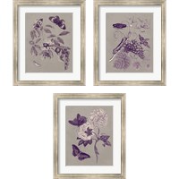 Framed Nature Study in Plum & Taupe 3 Piece Framed Art Print Set