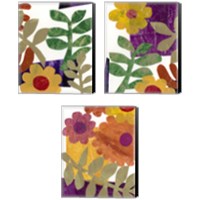 Framed 'Fiesta Floral  3 Piece Canvas Print Set' border=