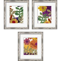 Framed 'Fiesta Floral  3 Piece Framed Art Print Set' border=