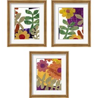 Framed 'Fiesta Floral  3 Piece Framed Art Print Set' border=