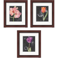 Framed 'Chalkboard Flower 3 Piece Framed Art Print Set' border=