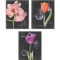 Framed Chalkboard Flower 3 Piece Art Print Set