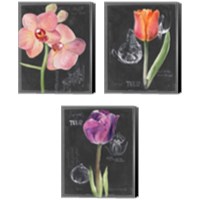 Framed 'Chalkboard Flower 3 Piece Canvas Print Set' border=