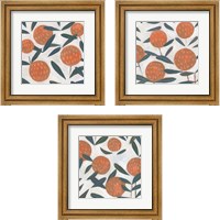 Framed Red Clover 3 Piece Framed Art Print Set