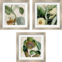 Framed Cropped Turpin Tropicals 3 Piece Framed Art Print Set