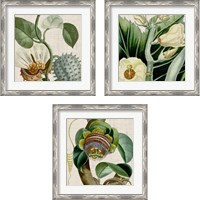 Framed 'Cropped Turpin Tropicals 3 Piece Framed Art Print Set' border=