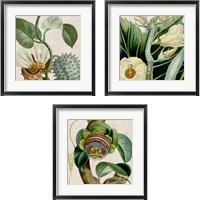 Framed 'Cropped Turpin Tropicals 3 Piece Framed Art Print Set' border=