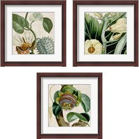 Framed Cropped Turpin Tropicals 3 Piece Framed Art Print Set