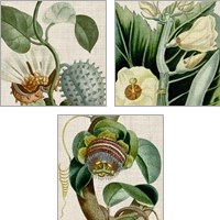 Framed 'Cropped Turpin Tropicals 3 Piece Art Print Set' border=