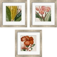 Framed 'Cropped Turpin Tropicals 3 Piece Framed Art Print Set' border=