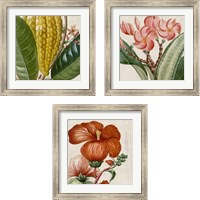 Framed 'Cropped Turpin Tropicals 3 Piece Framed Art Print Set' border=