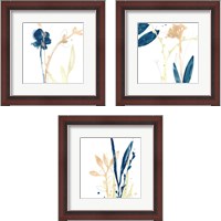 Framed Botany Gesture 3 Piece Framed Art Print Set