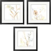 Framed 'Botany Gesture 3 Piece Framed Art Print Set' border=