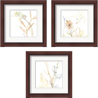 Framed 'Botany Gesture 3 Piece Framed Art Print Set' border=