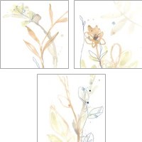 Framed 'Botany Gesture 3 Piece Art Print Set' border=