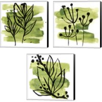 Framed 'Tropical Sumi-e 3 Piece Canvas Print Set' border=