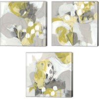 Framed 'Citron Mist 3 Piece Canvas Print Set' border=