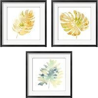 Framed 'Prisma Tropical  3 Piece Framed Art Print Set' border=