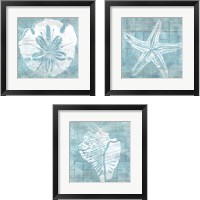 Framed Cerulean Shell 3 Piece Framed Art Print Set