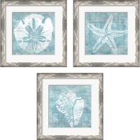 Framed 'Cerulean Shell 3 Piece Framed Art Print Set' border=