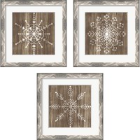 Framed 'Barnwood Wonderland 3 Piece Framed Art Print Set' border=