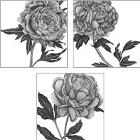 Framed Flowers in Grey 3 Piece Art Print Set