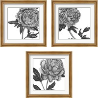 Framed Flowers in Grey 3 Piece Framed Art Print Set