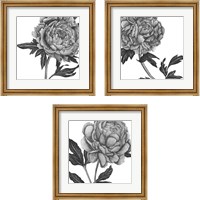 Framed 'Flowers in Grey 3 Piece Framed Art Print Set' border=