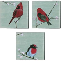 Framed 'Bird & Blossoms 3 Piece Canvas Print Set' border=
