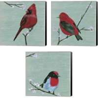 Framed 'Bird & Blossoms 3 Piece Canvas Print Set' border=