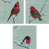 Framed 'Bird & Blossoms 3 Piece Art Print Set' border=