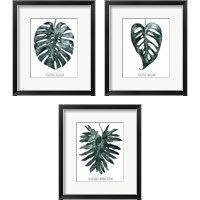 Framed Gemstone Tropicale 3 Piece Framed Art Print Set