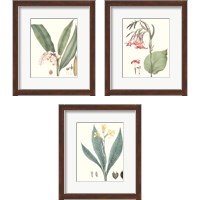 Framed 'Soft Tropical  3 Piece Framed Art Print Set' border=