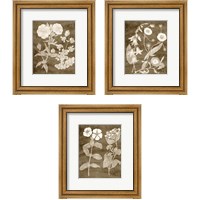 Framed Botanical in Taupe 3 Piece Framed Art Print Set