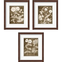 Framed Botanical in Taupe 3 Piece Framed Art Print Set
