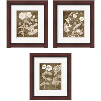Framed 'Botanical in Taupe 3 Piece Framed Art Print Set' border=