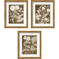 Framed 'Botanical in Taupe 3 Piece Framed Art Print Set' border=