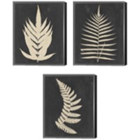 Framed 'Linen Fern 3 Piece Canvas Print Set' border=