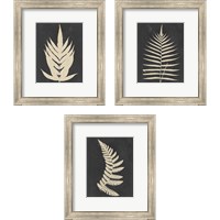 Framed 'Linen Fern 3 Piece Framed Art Print Set' border=