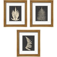 Framed 'Linen Fern 3 Piece Framed Art Print Set' border=