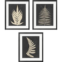 Framed Linen Fern 3 Piece Framed Art Print Set