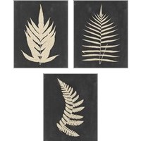 Framed Linen Fern 3 Piece Art Print Set