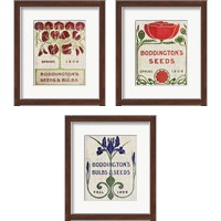 Framed 'Flower Seed Packs 3 Piece Framed Art Print Set' border=